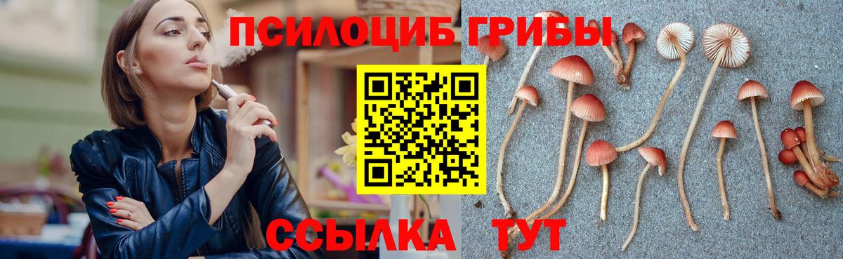 Галлюциногенные грибы Psilocybine cubensis Арзамас